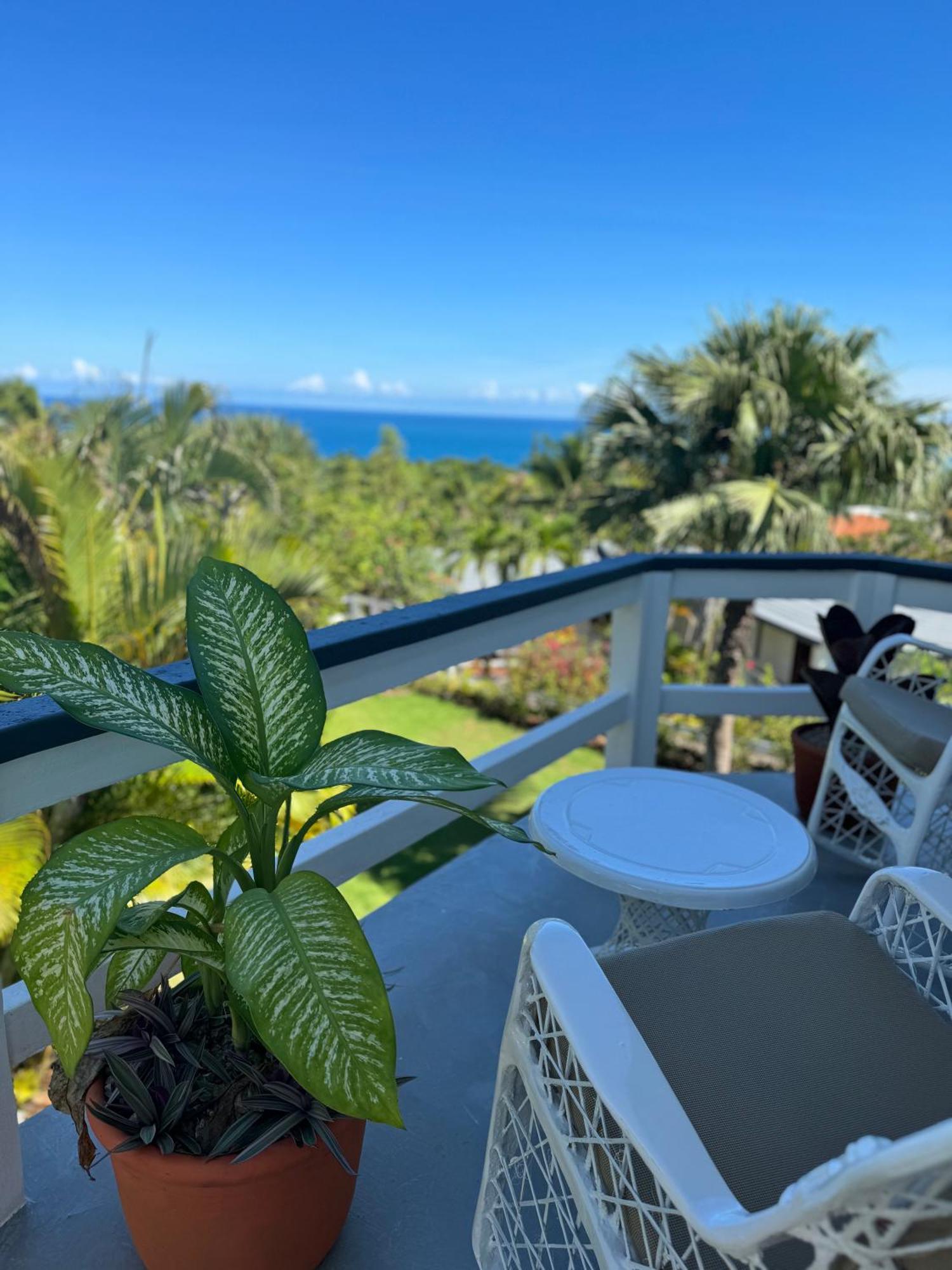 Catalina, Cabrera Oceanview Multi 2 Bd 2 Bath Condo Units With Balcony And Pool 외부 사진