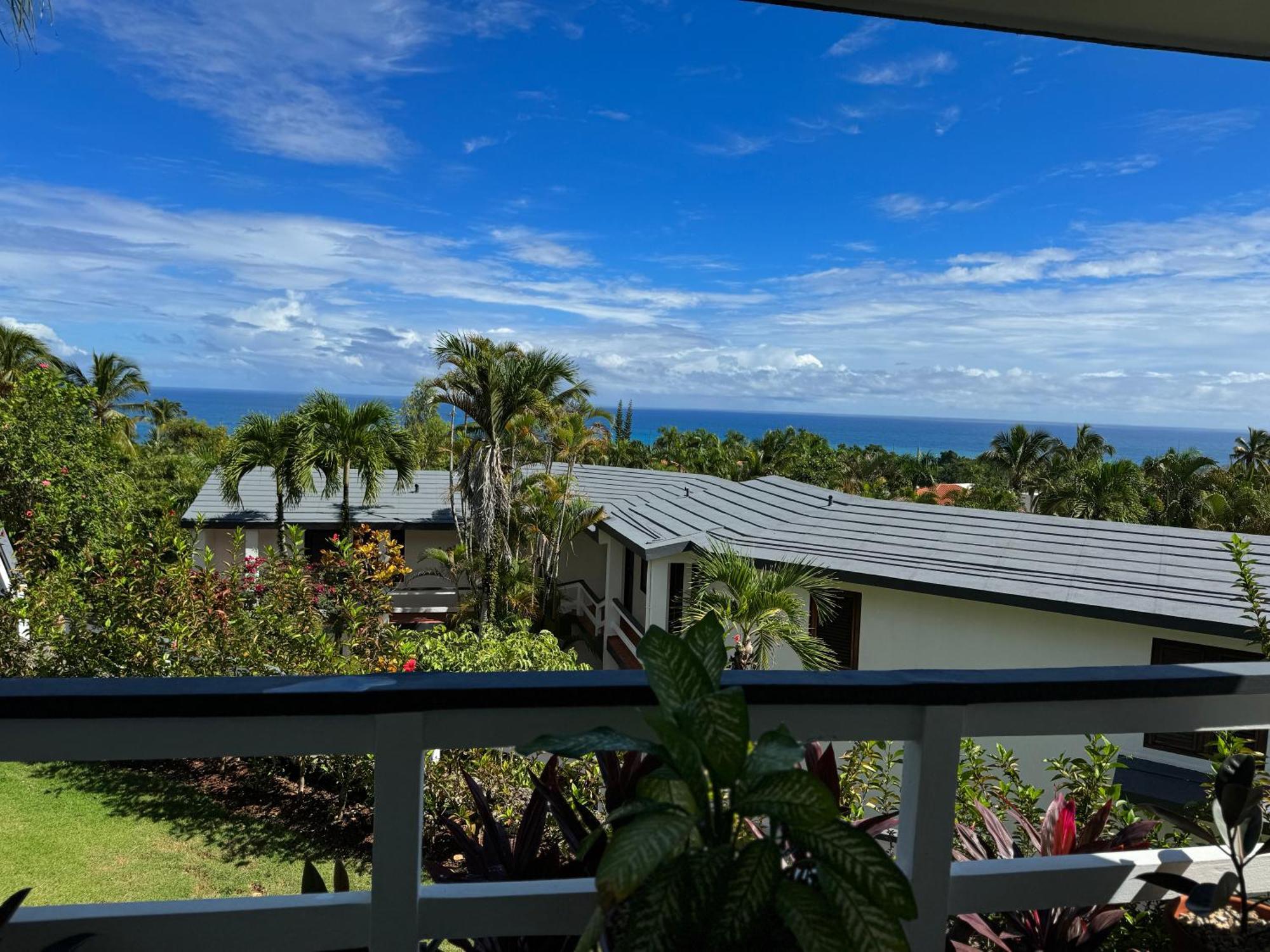 Catalina, Cabrera Oceanview Multi 2 Bd 2 Bath Condo Units With Balcony And Pool 외부 사진